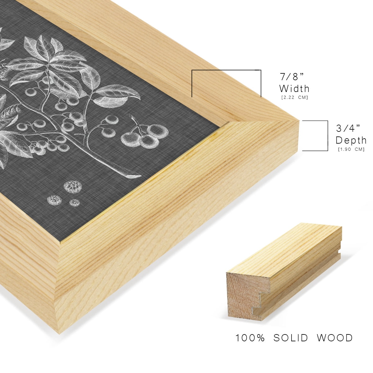 Graphic Foliage VI - Framed Print w/glass - Natural Wood