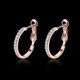 thumbnail image 2 of Nvzi Aros pequeños con diamantes de imitación y platino en oro rosa de 14 quilates para mujeres adolescentes con orejas sensibles (oro rosa), 2 of 5