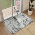 thumbnail image 3 of BERTHMEER 2'x3' Abstract Area Rug for Entryway Kitchen Living Room Bedroom Rug Non-Slip Machine Washable Small Indoor Rugs,Black&Gold, 3 of 6