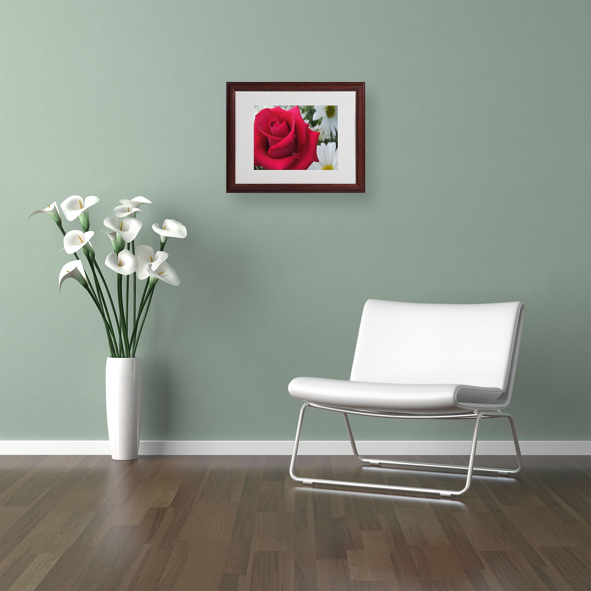 Trademark Fine Art "Pristine" by Monica Fleet, Wood Frame