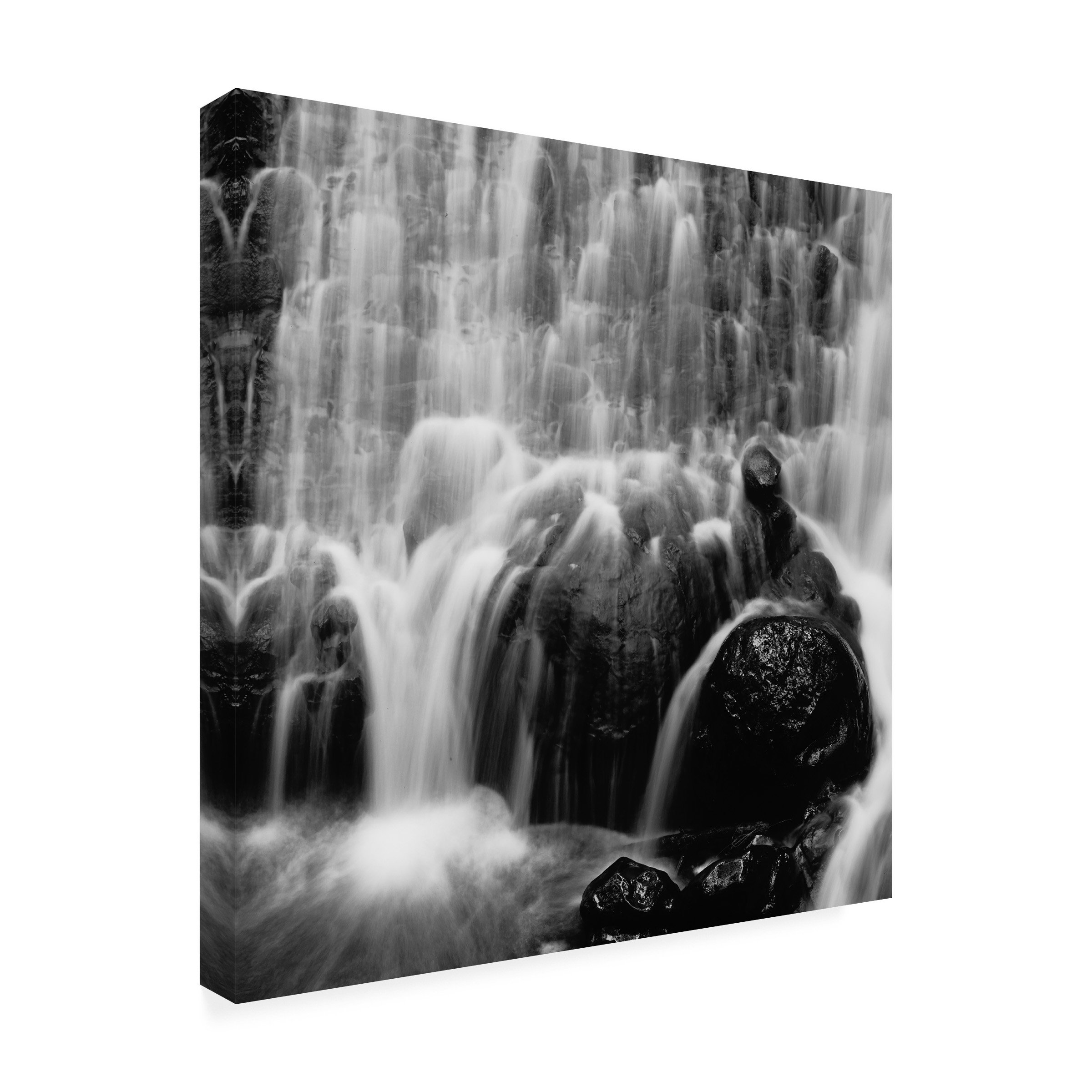 Moises Levy 'Velo de Novia' Canvas Art