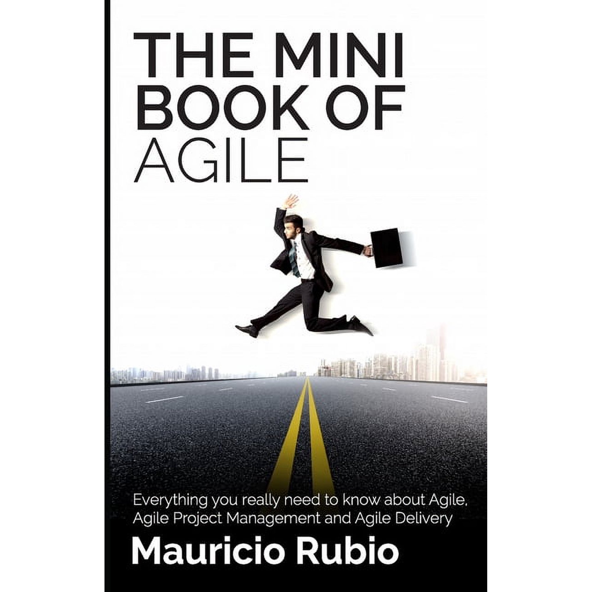 The Mini Book of Agile: Everything you really need to know about Agile Agile Project Management and Agile Delivery (Paperback)