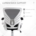 thumbnail image 6 of Vinsetto Mid-Back Ergonomic Home Swivel PC Office Chair w/ Lumbar Support Black, 6 of 9