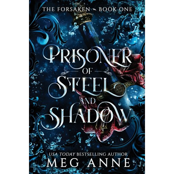 Prisoner of Steel and Shadow, (Paperback)