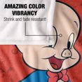 thumbnail image 4 of Looney Tunes Blanket, 50'x60', Porky Pig Character Silky Touch Super Soft Throw, 4 of 6