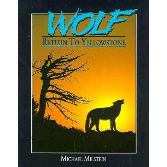 Pre-Owned Wolf: Return to Yellowstone (Paperback) 0962761885 9780962761881