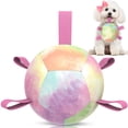 thumbnail image 1 of Pelota de fútbol QDAN Dog Toy con correas para perros pequeños de 5 pulgadas, 1 of 7