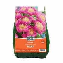 Expert Gardener Peony Bowl of Beauty (1 Dormant Bare Root) Partial Sun, Multi-Color, Perennial