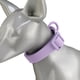 thumbnail image 4 of Collar de perro impermeable para perros pequeños, medianos y grandes, collares ajustables a prueba de olores, 4 of 5