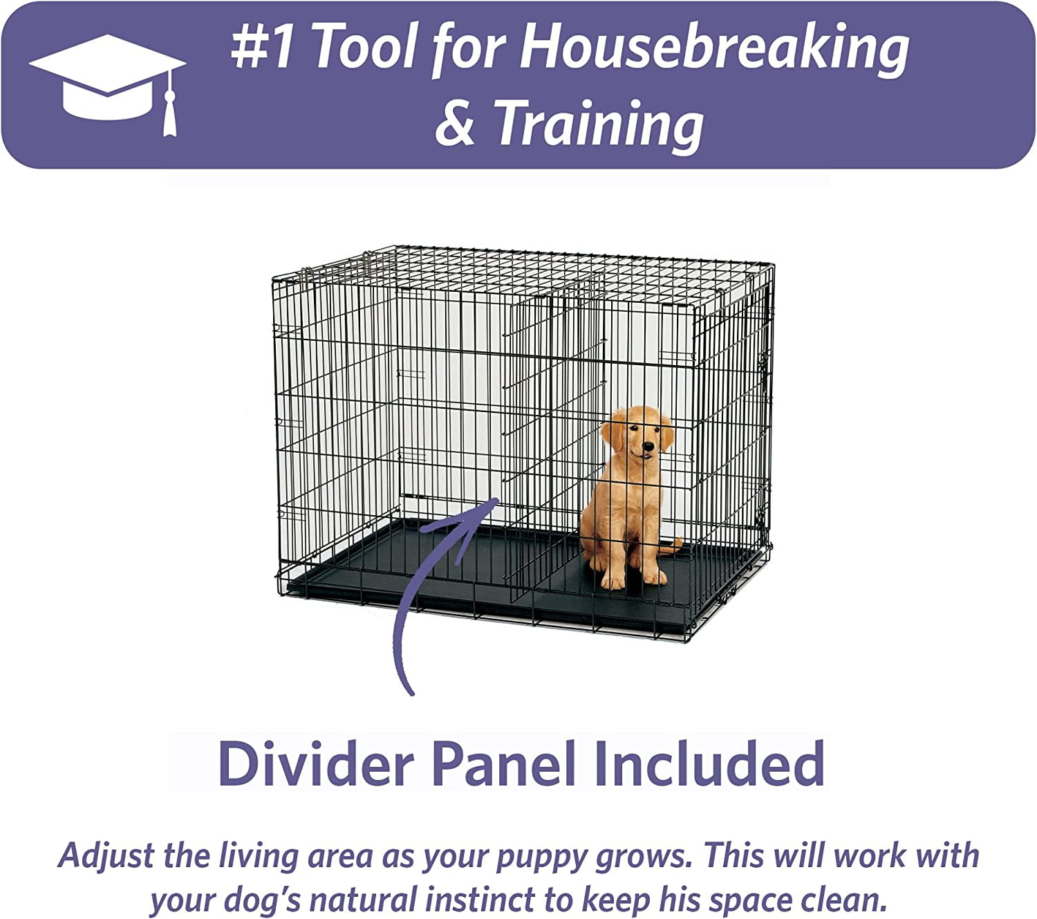 24 Inch iCrate for Small Breeds 12 to 20 lbs Single Door Folding Dog Crate with Divider Panel Leak Proof Tray and Secure Latch Portable and Durable