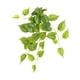 thumbnail image 4 of Hojas falsas enredaderas plantas colgantes artificiales Matsuzay para interior y exterior, 4 of 6