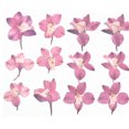 thumbnail image 2 of Pressed Flowers Home Arts Décoratifs Signets Autocollants Sûrs Colorés Multiples Simulation Décor Parfait Cadeaux Festive Fournitures Rose, 2 of 7