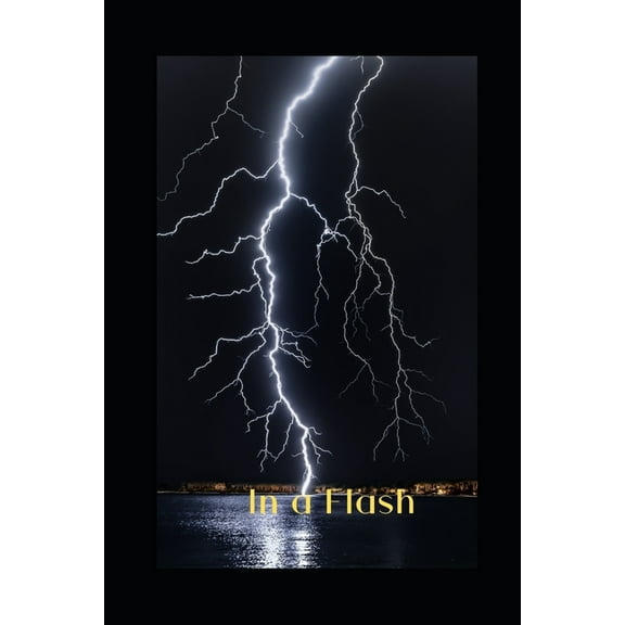 In a Flash (Paperback)