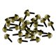thumbnail image 5 of 30X Remache de Redonda Tornillos de Fijación de Hierro Metal Decoracion de Zapatos / Colres / Cinturones Bronce Baoblaze Barrel Studs Remaches, 5 of 7