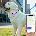 thumbnail image 5 of Pet Location Tracker Collar, Smart GPS Tracking Device for Dogs 1 Piece, Compatible with iOS Android App, Anti-Lost Finder for Outdoor Cats 1.5 Inch, 5 of 5