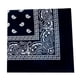 thumbnail image 1 of Bearachild Pañuelo cuadrado para exteriores de 55cm x 55cm, diadema negra y roja de Cachemira estampada para mujeres/hombres/niños/niñas Almacenamiento y organización del hogar negro Bearachild HA5742-08, 1 of 6