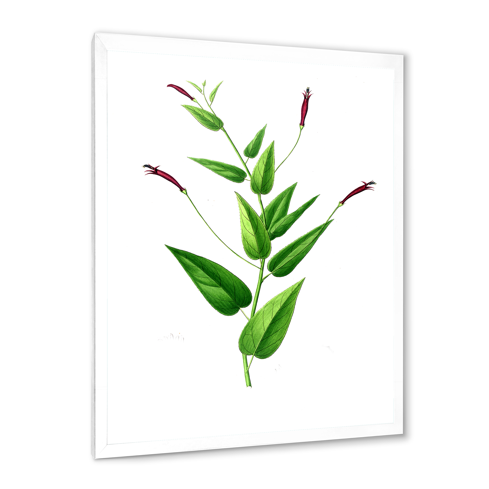 Designart 'Ancient London Plants VII' Traditional Framed Art Print