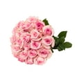 thumbnail image 2 of Light Pink Roses - Farm Direct Fresh Cut Flowers - 50 Stems, 2 of 8