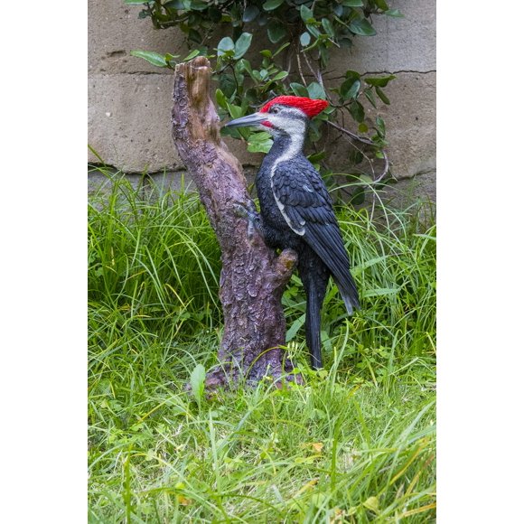 Garden Statue Hi-Line Gift Ltd., pájaro carpintero pileado en un árbol