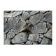 thumbnail image 3 of Póster Adhesivo de PVC Yuyangstore Fondo de Acuario Estilo Piedra 61x41cm, 3 of 8