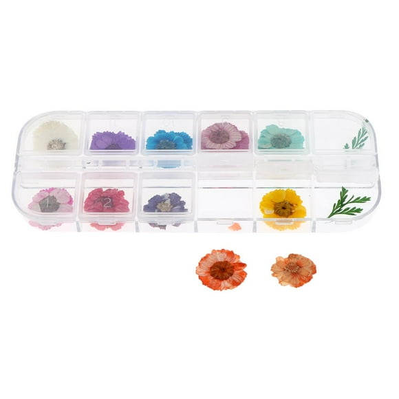 Decoración de uñas Colcomx 12 colores secas 3D