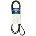 thumbnail image 3 of Dayco 5060820 7OLY-COG Automotive Replacement Serpentine Belt, 3 of 3