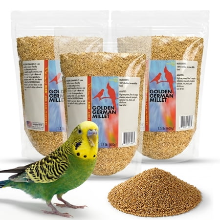 Morning Bird Golden German Millet 4.5 lbs (3-Pack, 1.5 lbs Each) – Bird Food for Parakeets, Finches & Canaries – Natural Millet Seed for Daily Nutrition