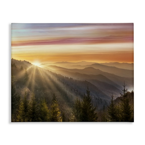 Sunrise Through Mountain Forest Skyline Canvas Art, 48 x 36, Design By Artist Danita Delimont