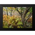 thumbnail image 2 of Head, Danny 18x14 Black Modern Framed Museum Art Print Titled - Autumn Fern, 2 of 5