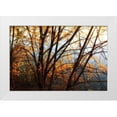 thumbnail image 3 of Alan Hausenflock 32x23 White Modern Wood Framed Wall Art Titled - Leaves of Orange III, 3 of 5