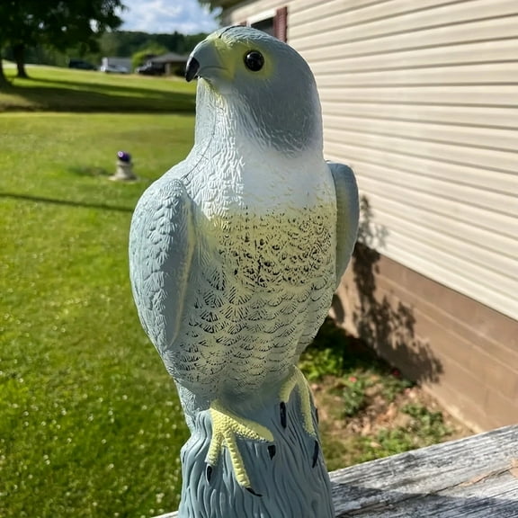 Outdoor PE Lifelike Realistic Eagle Hunting Decoy Training Shooting Target Animal Archery Target(17*17.5*41cm)