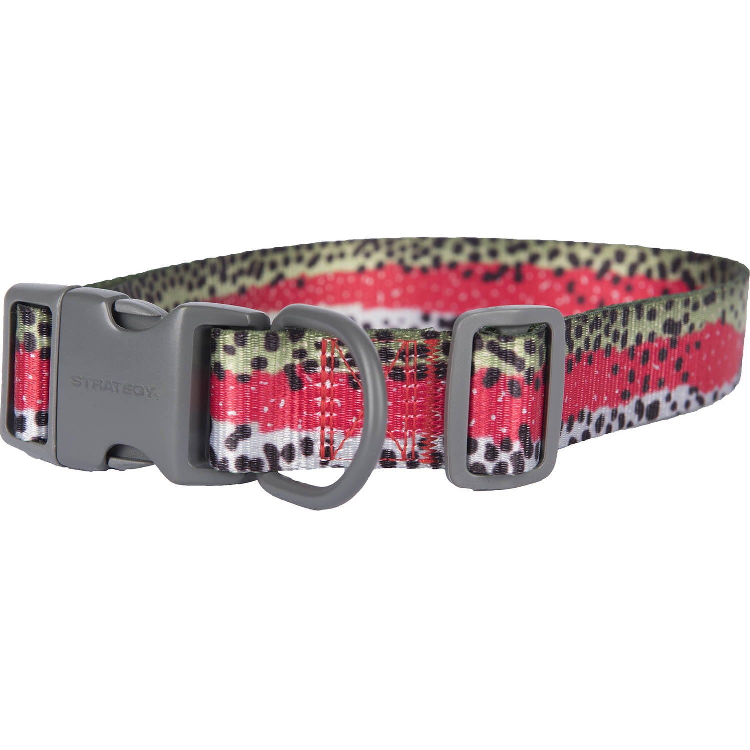 Pet Champion Rainbow Trout Strategy Fin and Foul Series Dog Collar