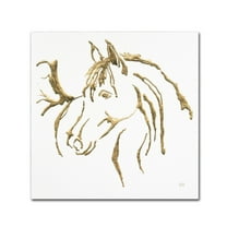 Trademark Fine Art 'Gilded Mare on White' Canvas Art by Chris Paschke