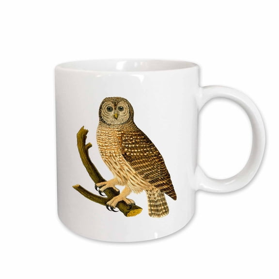 3drose, Barn Owl on Branch, 11oz Mug