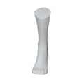 thumbnail image 2 of Mannequin Foot Model Suppiladelador de calcetines para hombres para escaparate de la tienda de centros comerciales largo, 2 of 8