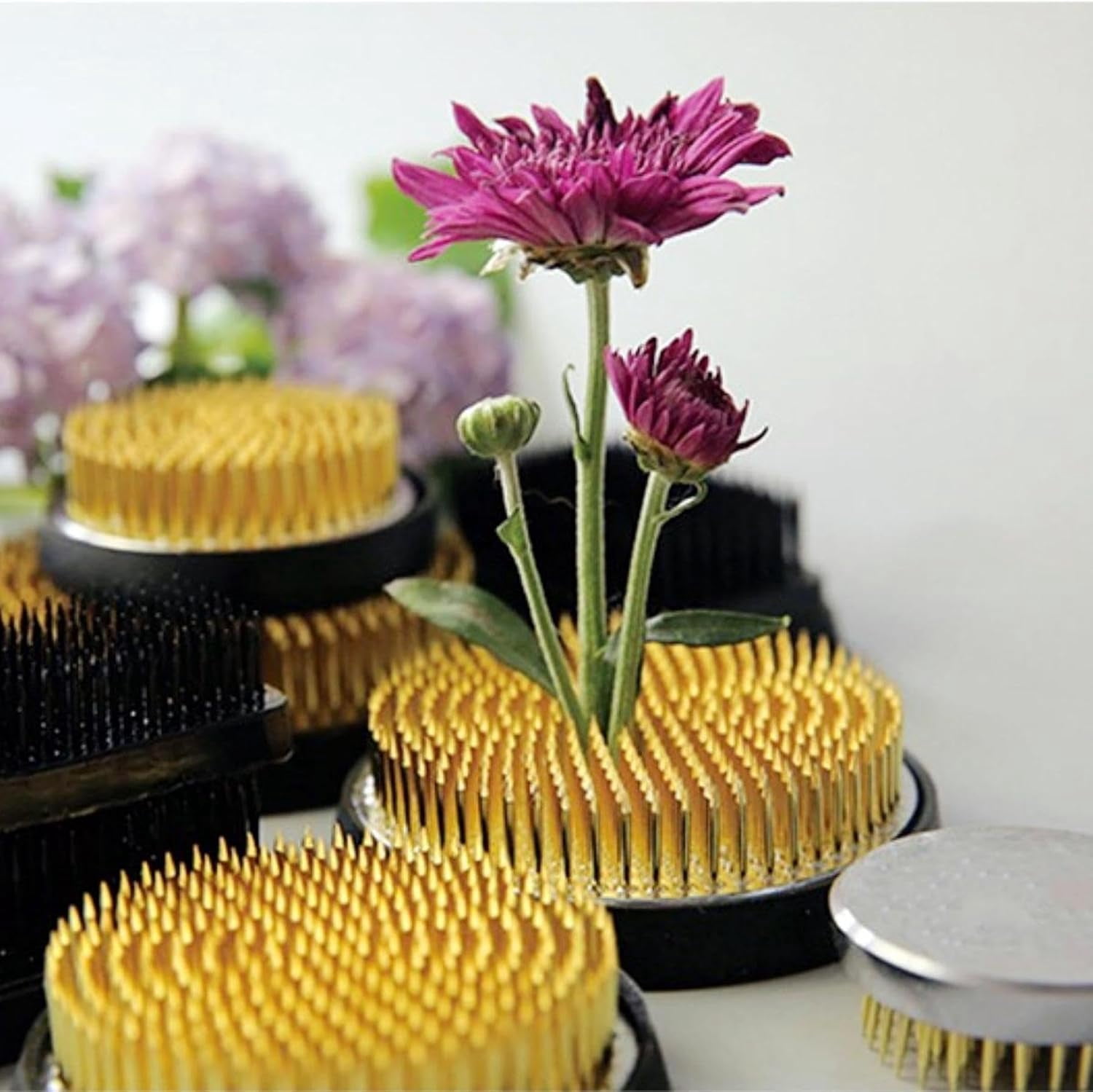ABCISI Flower Frogs for Flower Arrangements Supplies, Japanese Flower Arranging Ikebana Kenzan, Pin Frogs for Flowers Holder with Rubber Base Flower Fixed Tools(1.97inch/50mm)