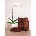thumbnail image 6 of Coco Coir Chips 4-Pack Envelor 2.4 Cu. Ft. Compressed Coconut Coir Bricks 10 lb. Natural Substrate for Indoor Outdoor Coco Chips for Plants Orchid Bark Coco Coir Brick Plant Soil Indoor Potting Mix, 6 of 7
