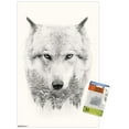 thumbnail image 1 of Loup - Arbres, 1 of 4