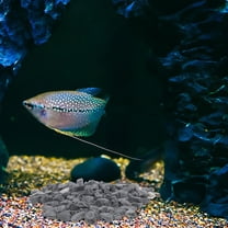 OFFIGAM 1Set Fish Tank Black Gravel Landscaping Stones for Aquarium and Terrarium Decoration