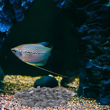 OFFIGAM 1Set Fish Tank Black Gravel Landscaping Stones for Aquarium and Terrarium Decoration