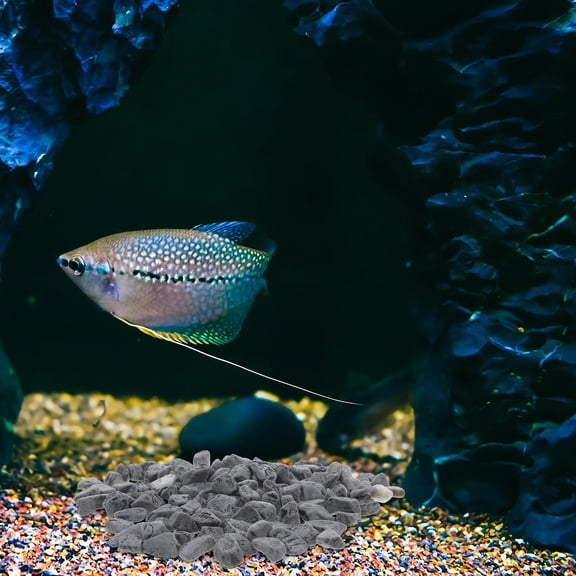 OFFIGAM 1Set Fish Tank Black Gravel Landscaping Stones for Aquarium and Terrarium Decoration
