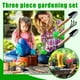 thumbnail image 1 of Juego de herramientas de jardinería de 3 piezas con pala pequeña, tenedor y rastrillo | Herramientas manuales de metal y madera para cavar, desherbar y trasplantar | Plantas en maceta de interior,, 1 of 9
