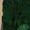 Dark Green, variant on Dark Green 3D Floral Embroidered Bodycon Slip Maxi Dress For Women