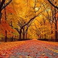 thumbnail image 6 of HAOXIT Round Fall, Fallen Leaves Thanksgiving Table Cover,Elastic Edged Table Cloth Fits Round Tables 38-42, 6 of 8