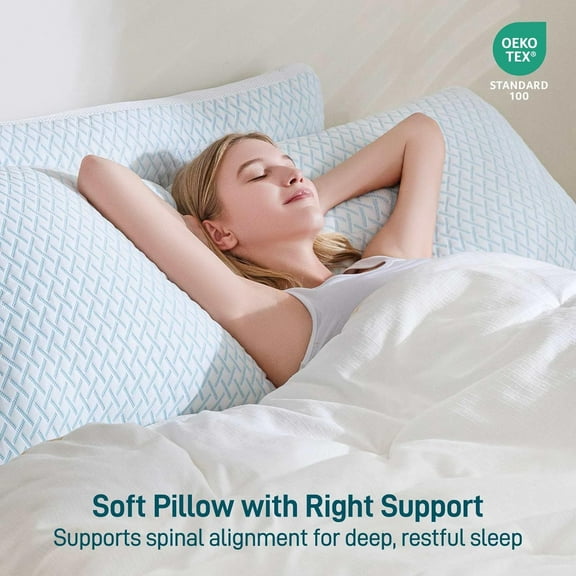 Shredded Memory Foam Cooling Soft Pillows Queen Size Set of 2, Adjustable Hypoallergenic Hotel Quality Pillow for Back, Stomach and Side Sleeper Sleeper, Bamboo Viscose Cover, Oeko-TEX Certified