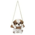 thumbnail image 1 of Chiot Shih Tzu Suspendu, 1 of 5