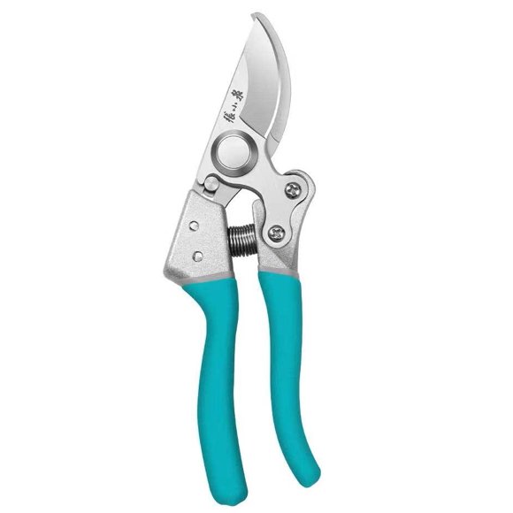 ZHANG XIAO QUAN SINCE 1628 Garden Tools - Ultra-Strong SK5 Stainless Steel Pruning Scissors with Safety Lock, Shock-Absorbent Spring for Flowers and Small Garden - GREEN