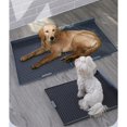 thumbnail image 2 of Pet Dog Toilet Reusable Tear-proof Keep Paws Dry Training Pad Pet Supplies For Small Medium Large Dogs He Qiyong unisex, 2 of 2