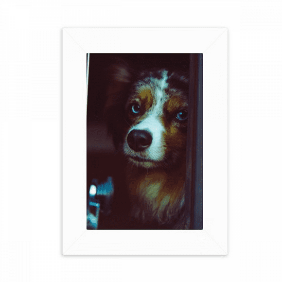 dog pet animal lly picture desktop photo frame picture display decoration art painting