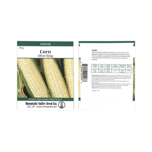 Silver King Hybrid Corn Garden Seeds 20 Gram Packet NonGMO